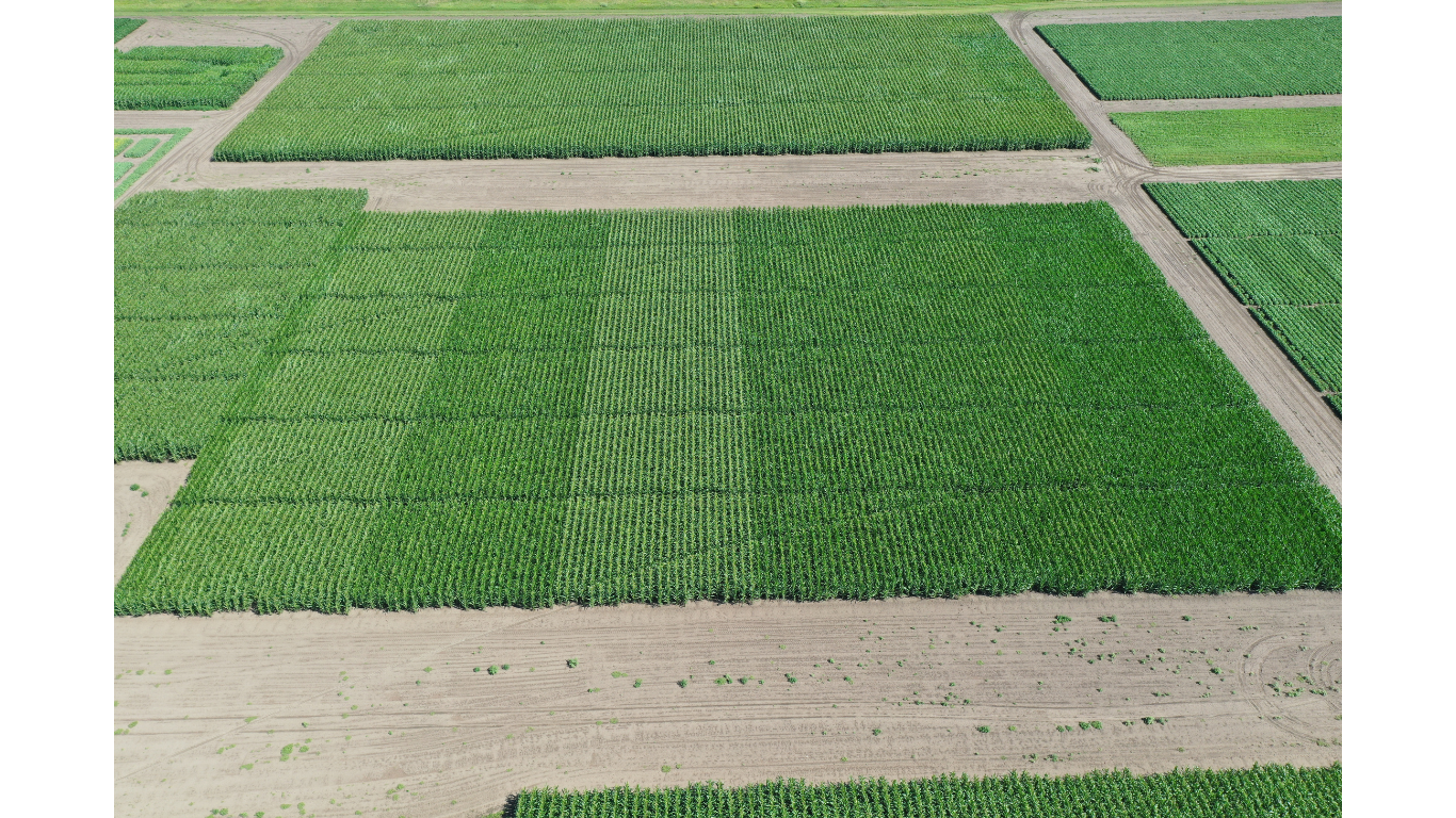 BioConsortia Secures Funding to Launch Nitrogen-Fixing Biofertilizer and Expand Globally BioConsortia Secures Funding to Launch Nitrogen-Fixing Biofertilizer and Expand Globally