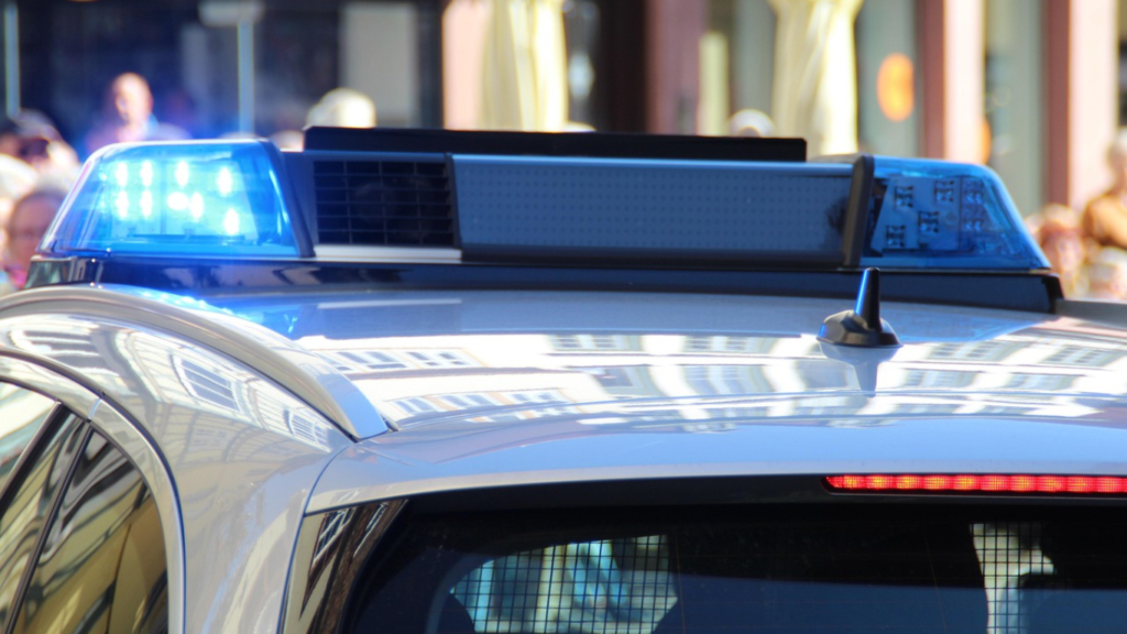 How Businesses Can Protect Themselves From Criminal Liability Risks https://pixabay.com/photos/police-blue-light-mission-crime-5226674/