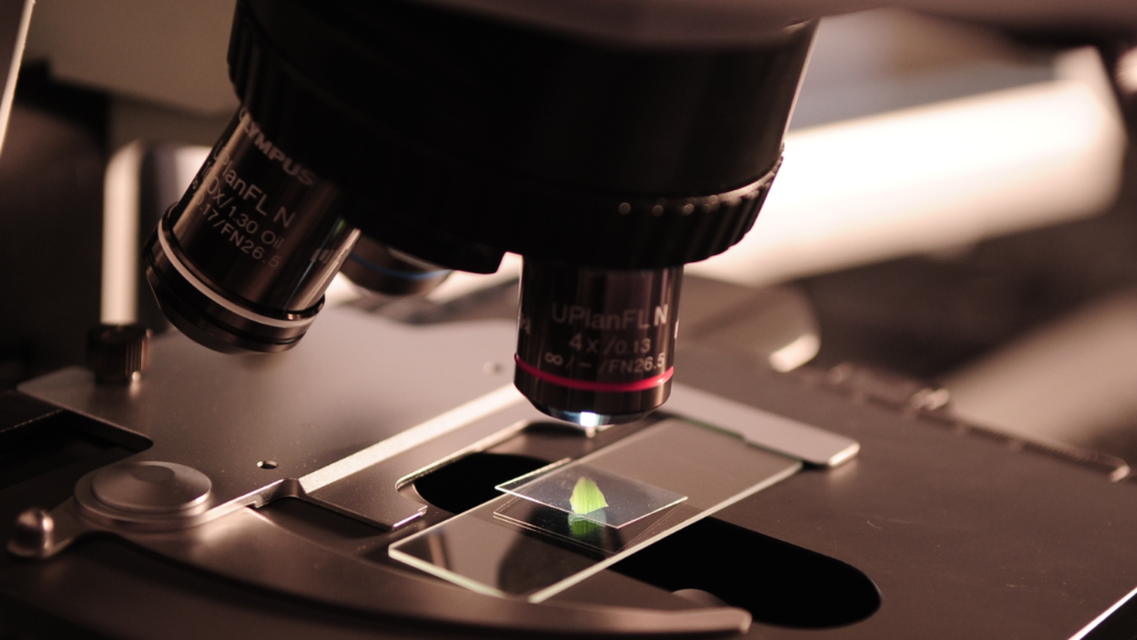 The Critical Role of Science Education in Driving Business Growth