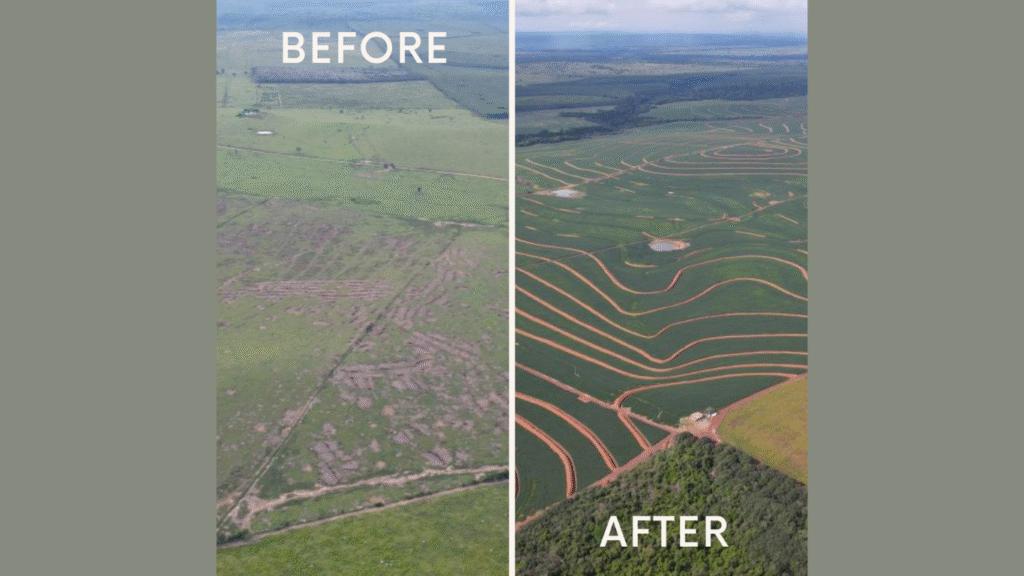 A renatured pasture in the Cerrado region in Brazil. Source: Syngenta