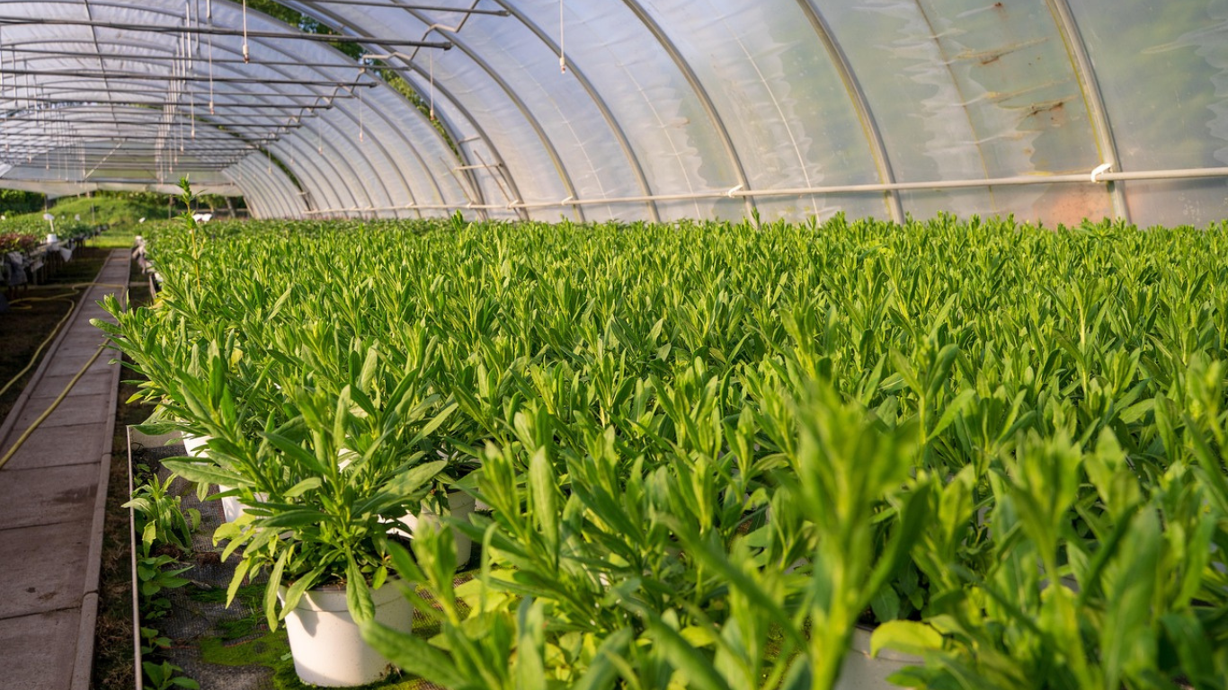 Smart Management Principles for Agricultural Businesses