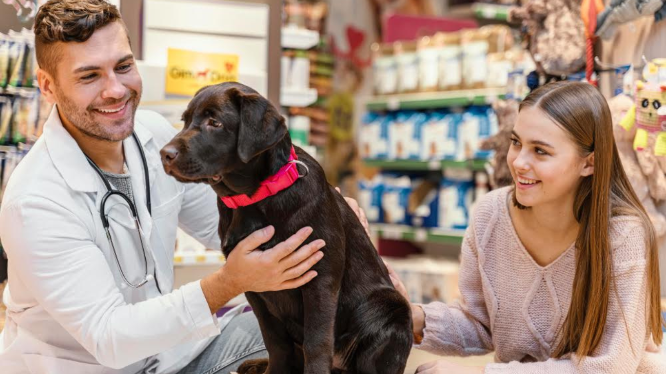 How to Choose Animal Health Supplements That Actually Help