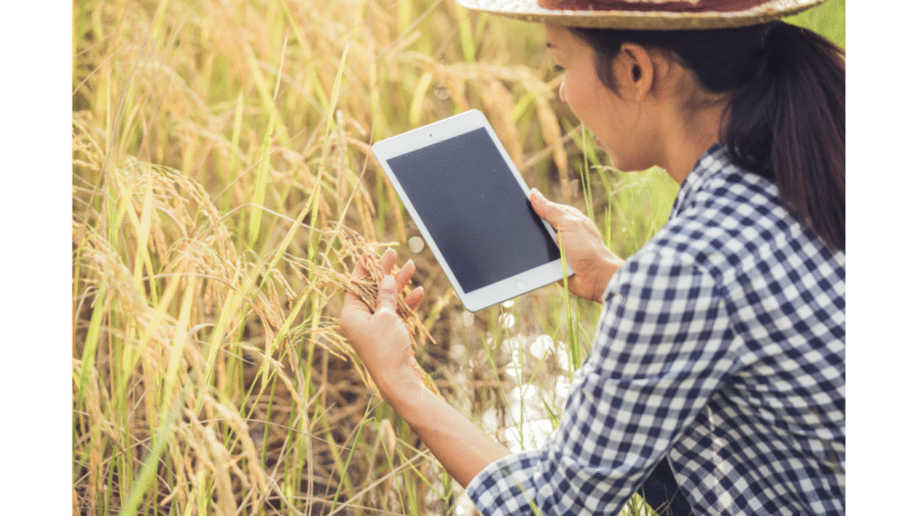 What is yield farming in decentralized finance?