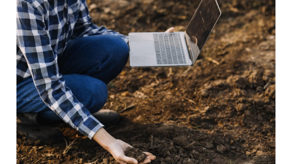 Can You Get Mulch Online in Cincinnati, Should You Do It and How?