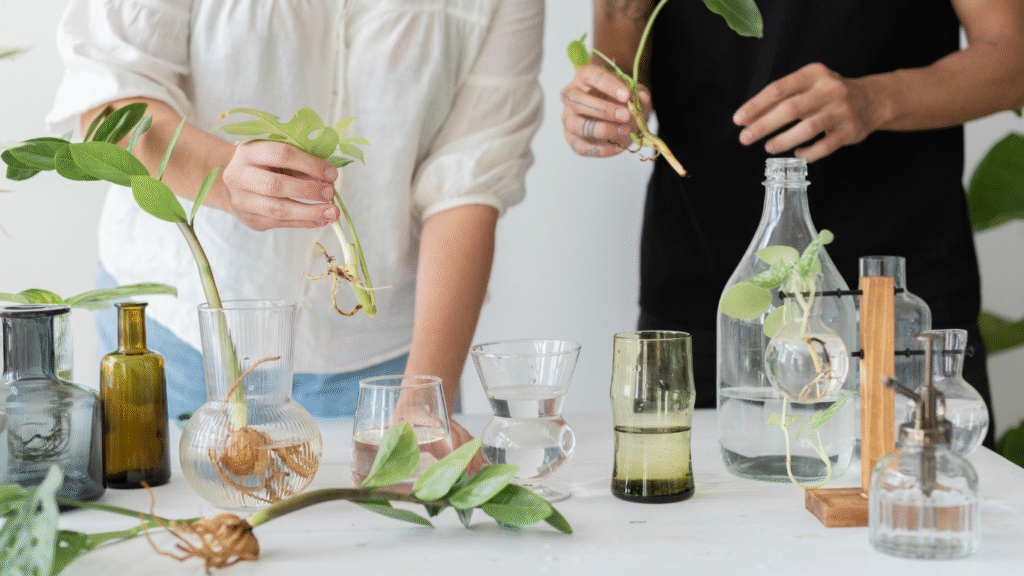From Plant to Global Product: How Ethanol Extraction Is Powering the Growth of the Botanical Processing Industry