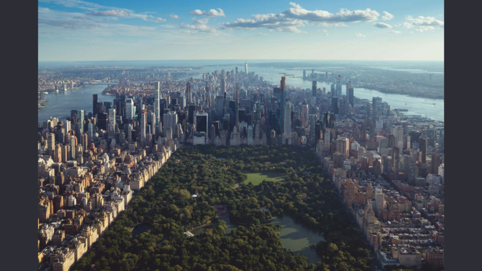 Relocation To NYC: A City That Rewrites You
