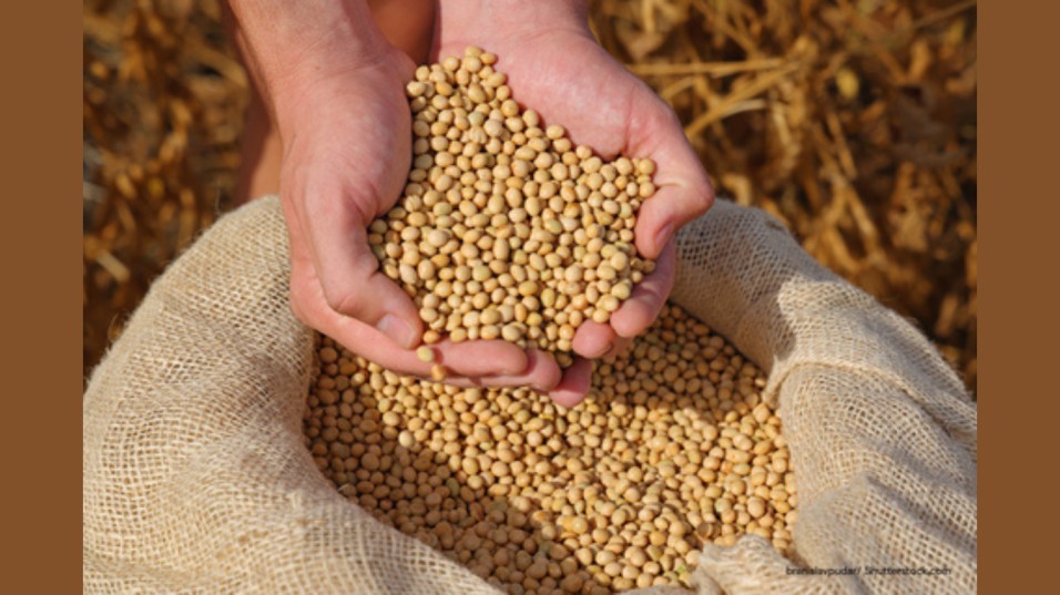 Regulatory milestone opens heart health growth opportunities for food and beverage manufacturers