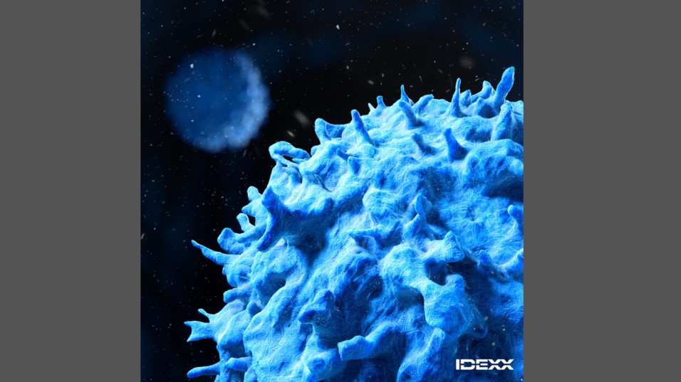 IDEXX Laboratories Now Offers Cancer Testing Features for Dogs in the UK (Image credit: Business Wire)