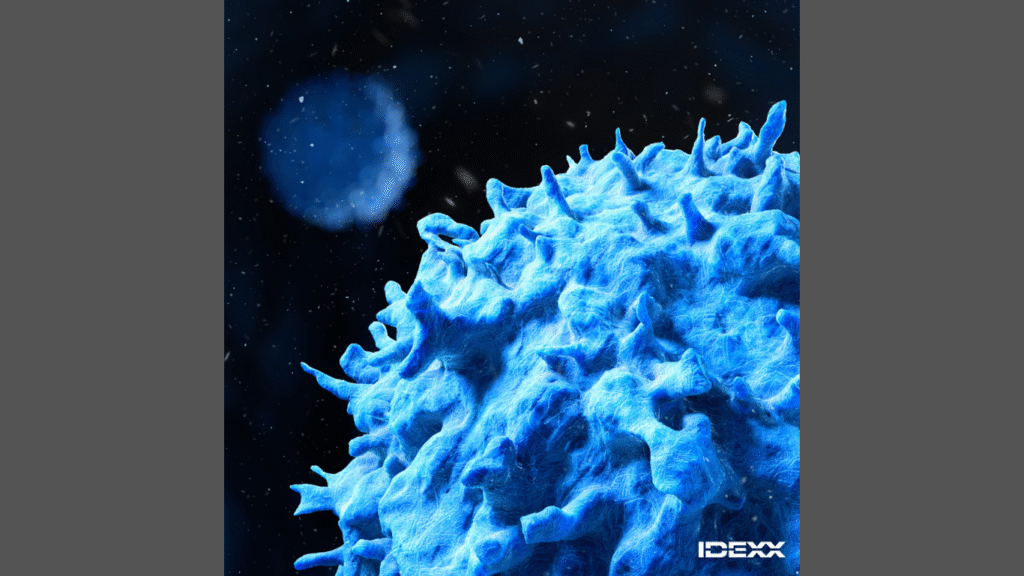 Helping clinicians investigate sooner and plan next steps with confidence (Image credit: Business Wire)