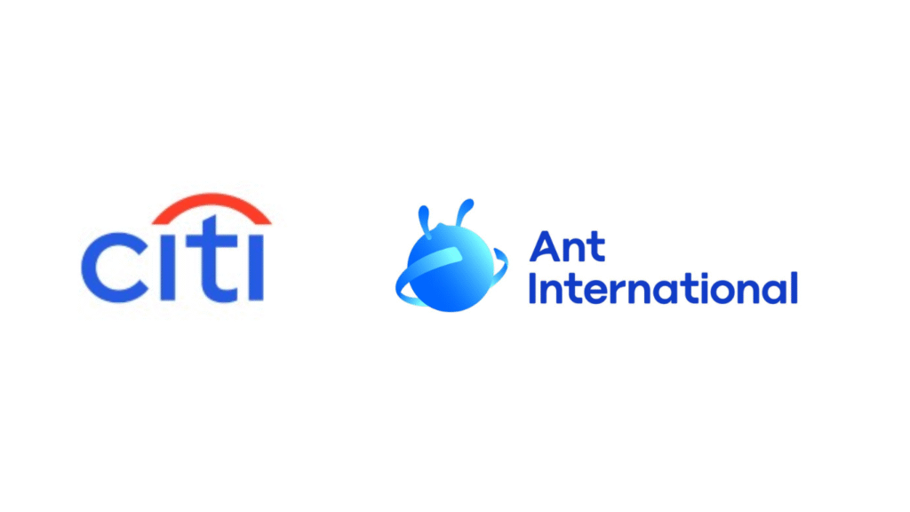 Image: City and Ant International Official websites