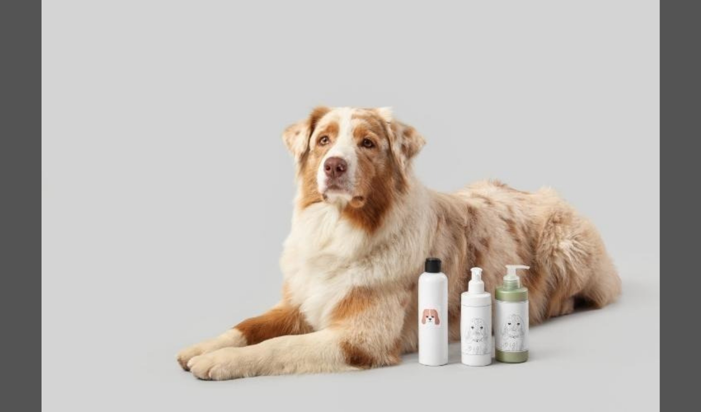 The Global Boom of Natural Pet Products and What Consumers Want Next. (Image credit: Pixelshot on Canva)