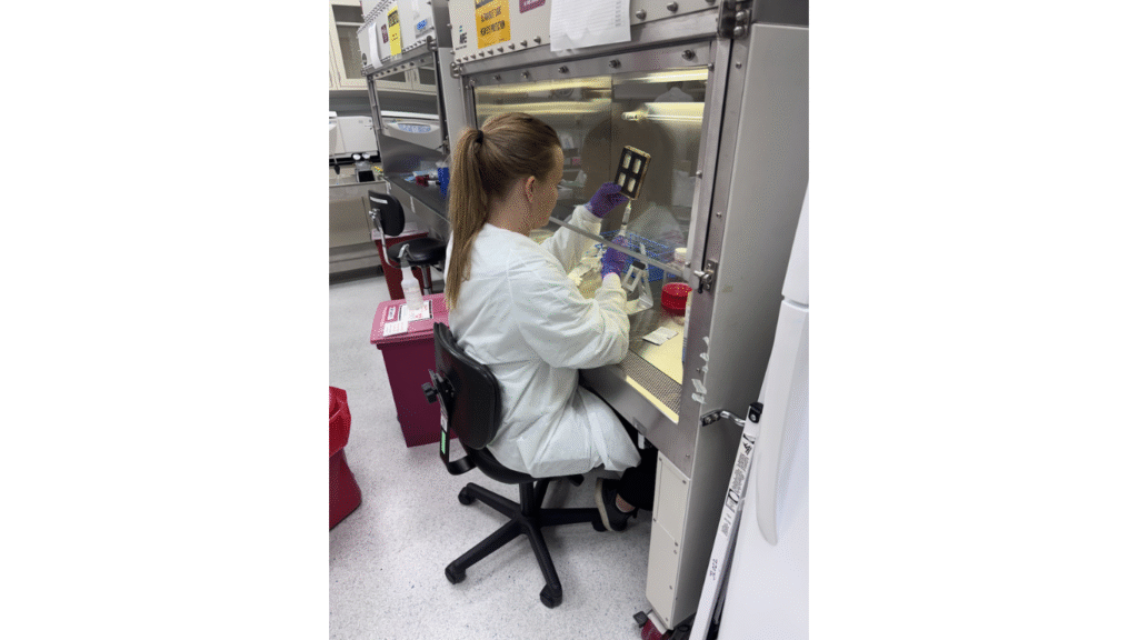 Cartilage Tissue Engineering Study Heads to ISS