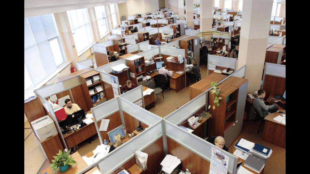 The Impact of Appearance in the Workplace: Why Looks Do Matter. (IMAGE SOURCE: https://pixabay.com/photos/office-cubicles-employees-working-95311/)