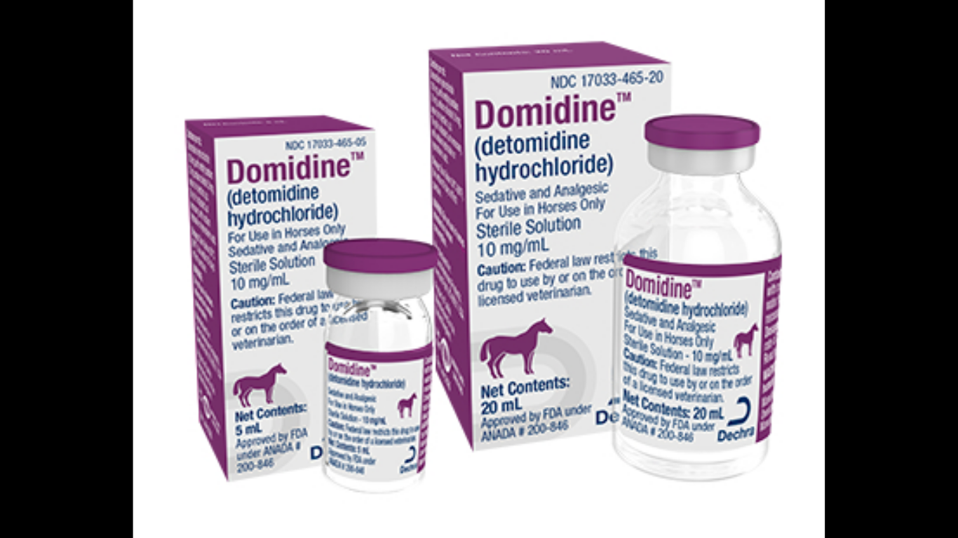 Dechra Brings Globally Trusted Domidine™ (detomidine hydrochloride) to the U.S. Equine Market. (Image Credit: Business Wire)