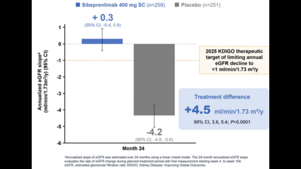 Otsuka Unveils Phase 3 VOYXACT Results for IgA Nephropathy Treatment. (Image Credit: Business Wire)