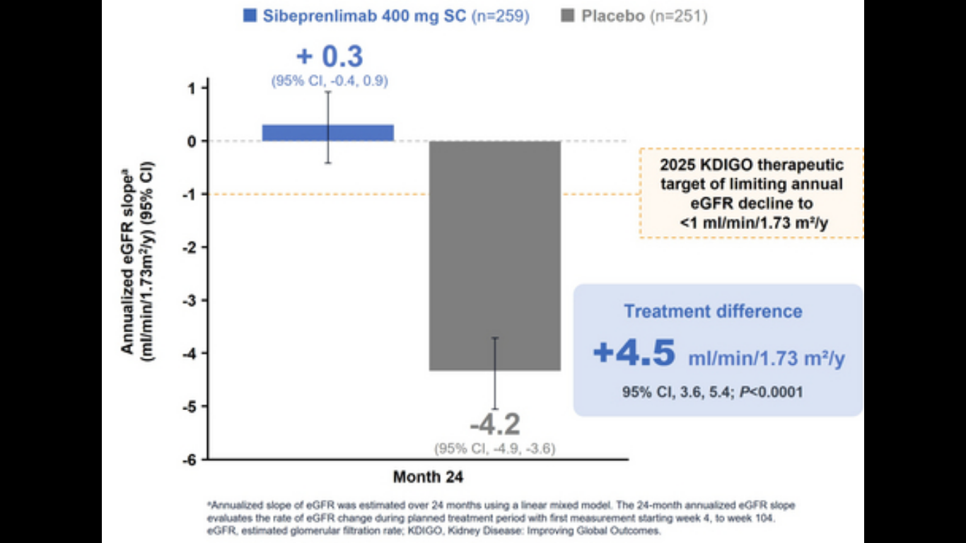 Otsuka Unveils Phase 3 VOYXACT Results for IgA Nephropathy Treatment. (Image Credit: Business Wire)