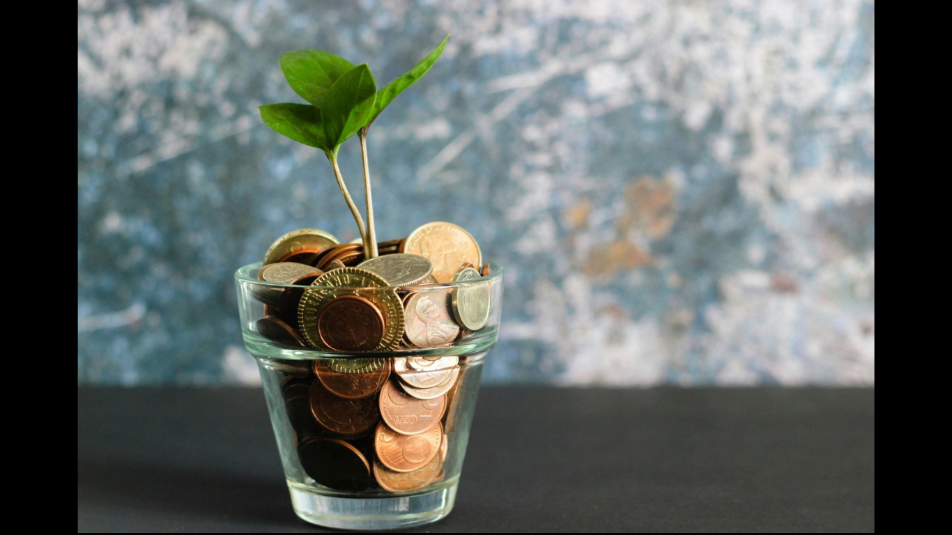 Sina Soleimani: From Professional Trader to Financial Markets Educator. (Image Credit: https://images.unsplash.com/photo-1579621970795-87facc2f976d?q=80&w=1170&auto=format&fit=crop&ixlib=rb-4.1.0&ixid=M3wxMjA3fDB8MHxwaG90by1wYWdlfHx8fGVufDB8fHx8fA%3D%3D)