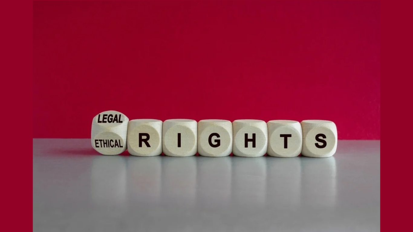 Understanding the Legal Rights at Stake in a Child Custody Case