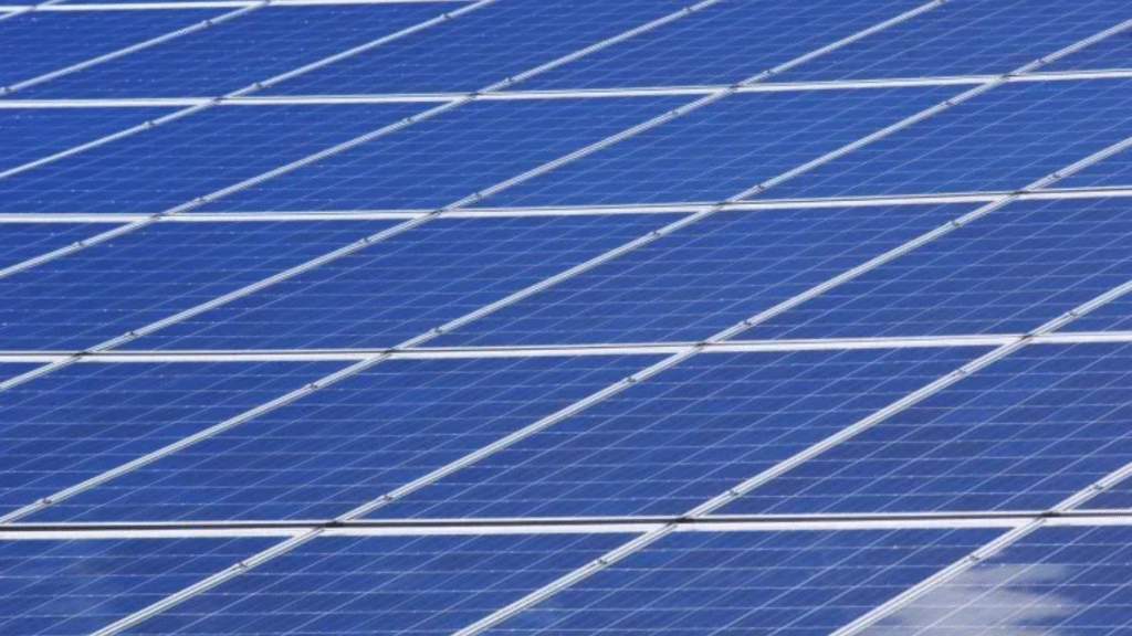 Singapore and Sweden strengthen ties on clean energy (Photo by Pixabay from Pexels)